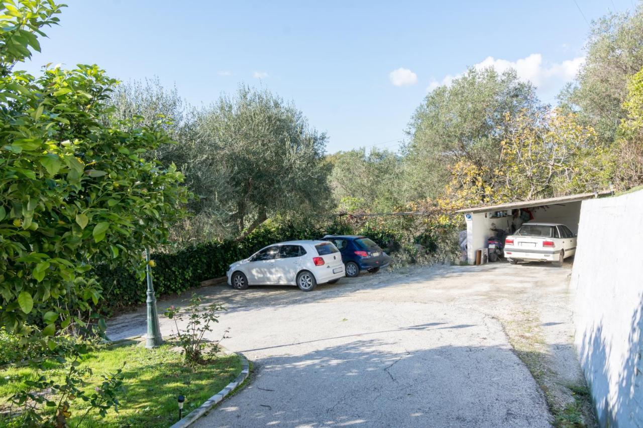 Vlassis Studios Apartment
