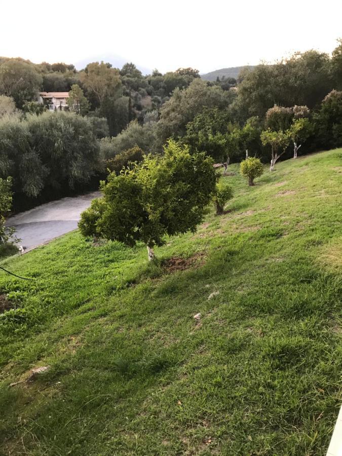 Apartament Vlassis